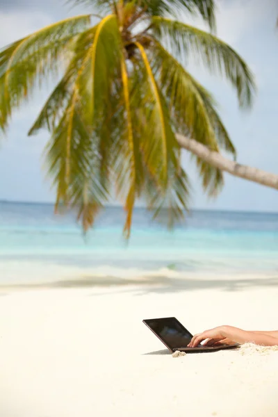 Browsing internet from the beach — Stock Photo, Image