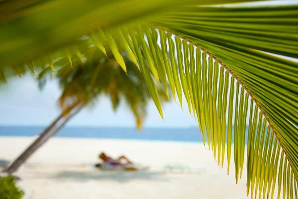 Şezlong plaj zemin üzerine — Stok fotoğraf