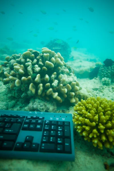 stock image Internet under the sea