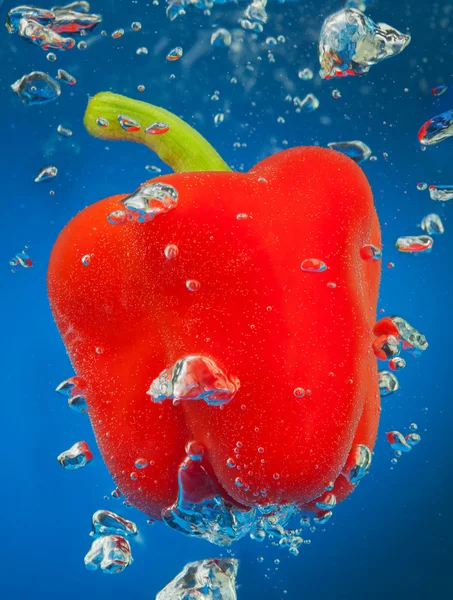 Cayenne underwater with air bubbles — Stock Photo, Image