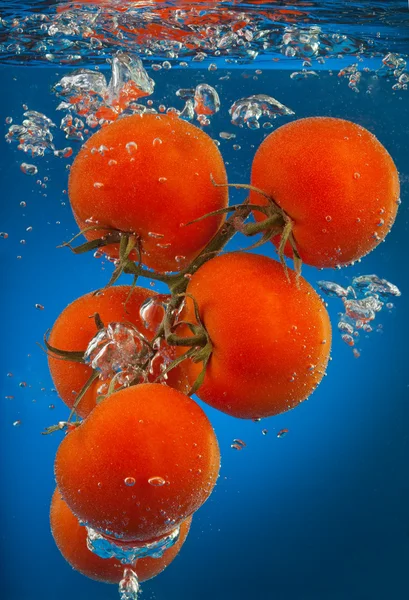 Manojo de tomates bajo el agua — Foto de Stock