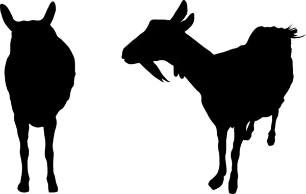 Two silhouettes of the nanny goat — Stock Vector