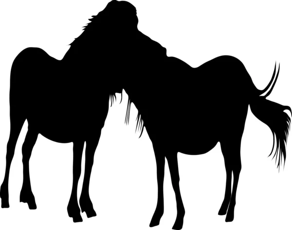 Silhouette two horses — Stock Vector