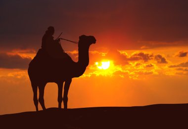 gün batımı sırasında Çölde deve