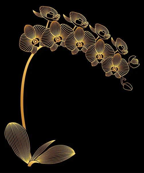 Gouden Orchidee — Stockfoto