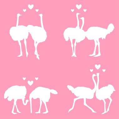 In love ostriches clipart