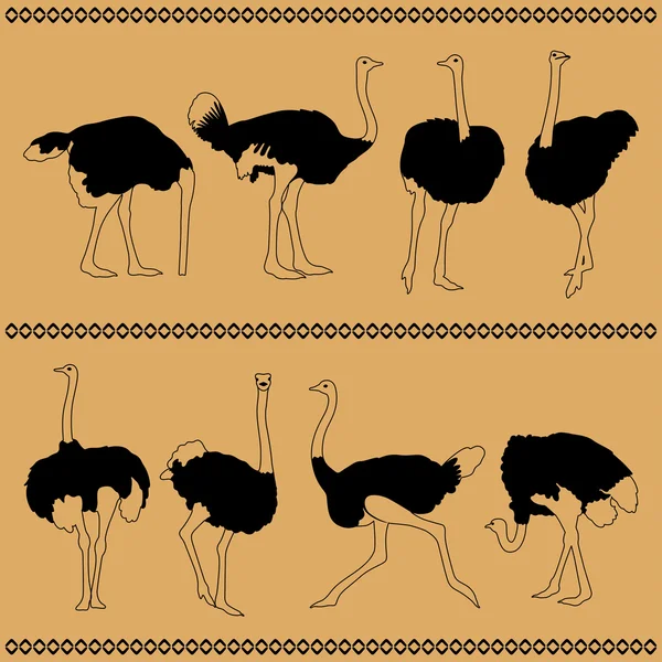 Ocho avestruces — Vector de stock