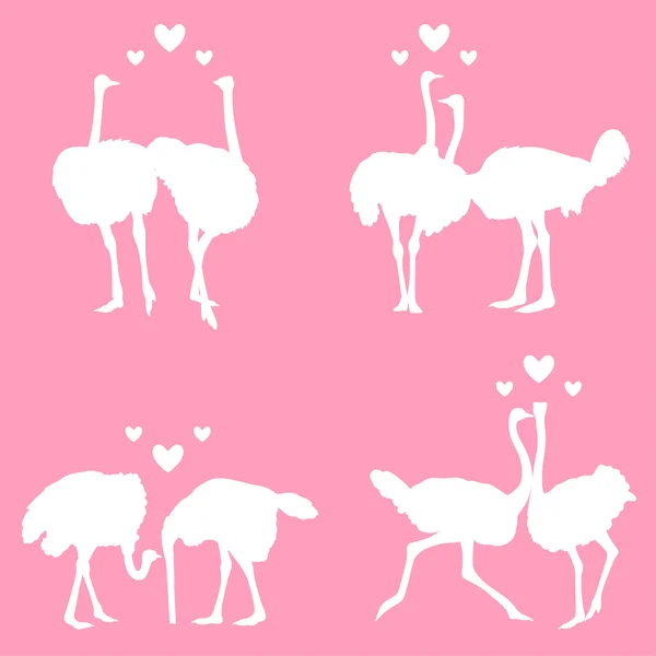 Em avestruzes de amor — Vetor de Stock