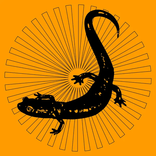 Schwarzer Salamander — Stockvektor