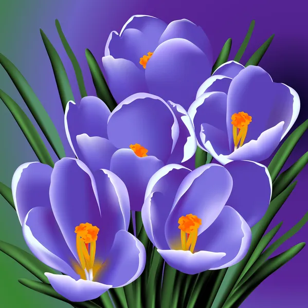 Cinq fleurs — Image vectorielle