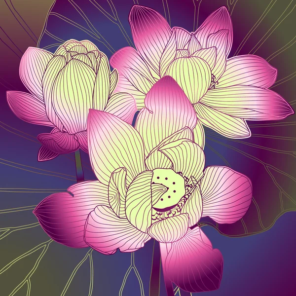 Blommor av Lilja — Stock vektor