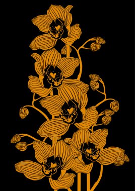 Altın orkide
