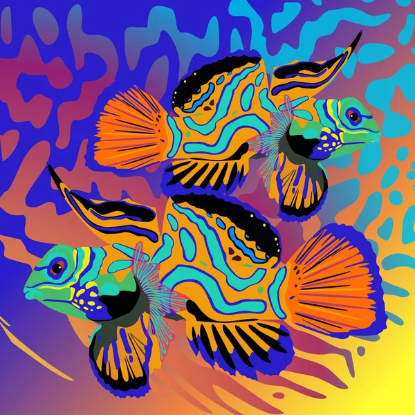 Deux poissons — Image vectorielle