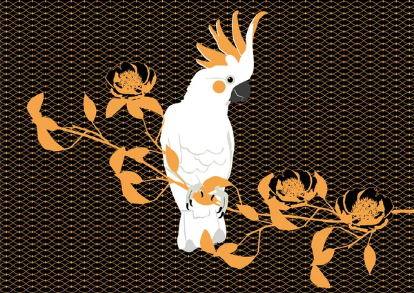 Perroquet de Lori — Image vectorielle