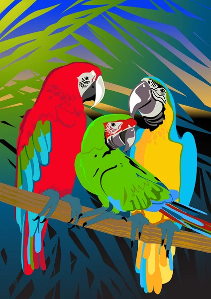Drie papegaaien — Stockvector
