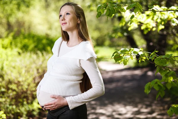 Pregnant woman relaxing in the park Stock Image