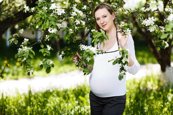 妊娠中の女性は公園でリラックス ストック画像