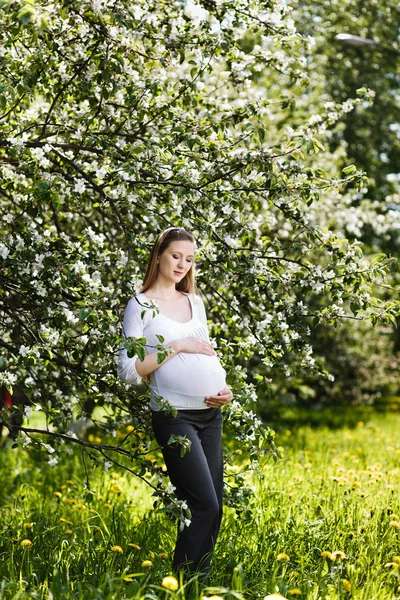 妊娠中の女性は公園でリラックス ロイヤリティフリーのストック写真
