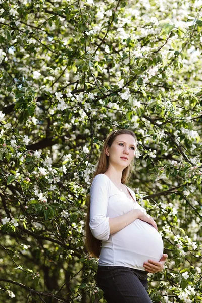 Gravid kvinna avkopplande i parken Stockfoto