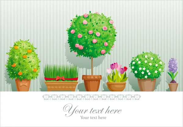盆栽植物 — 图库矢量图片