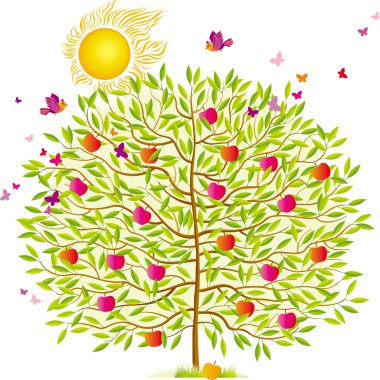 Summer tree clipart