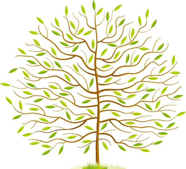 Весеннее дерево — стоковый вектор