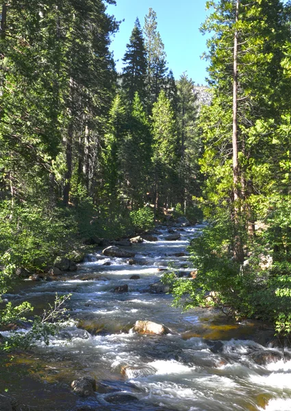 stock image South Fork of American River