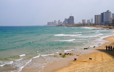 Quay of Tel Aviv