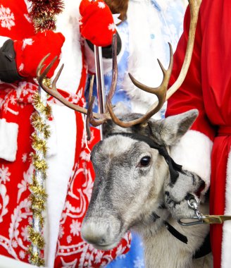 Christmas reindeer clipart