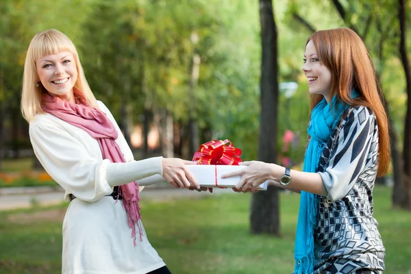 Deux sœurs heureuses avec un cadeau dans le parc — Photo