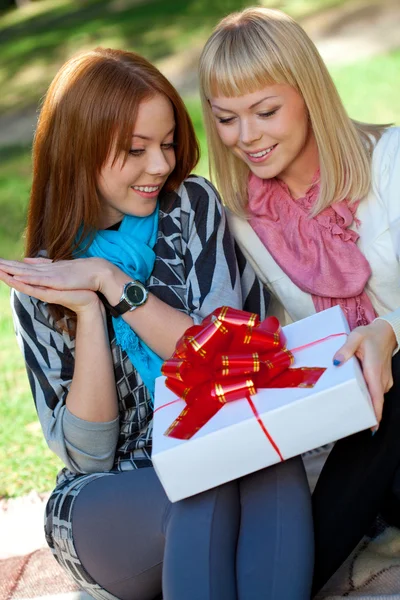 Two sisters with gift in the park — Stock Photo, Image