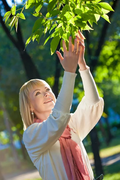 Γυναίκα συγκινητικό φύλλα δέντρων — Φωτογραφία Αρχείου