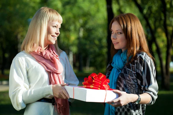 Two sisters holding gift in the park — Stock Photo, Image