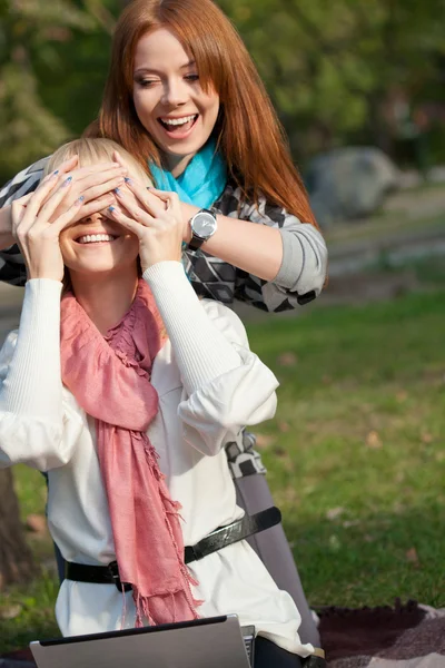 Twee sistershaving plezier in het park — Stockfoto