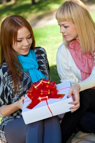 Two happy sisters with gift sitting in the park — Stock Photo, Image