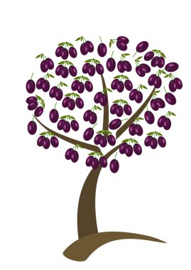 Plum tree clipart