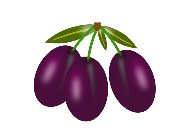 Plums fruit — Stock Photo, Image