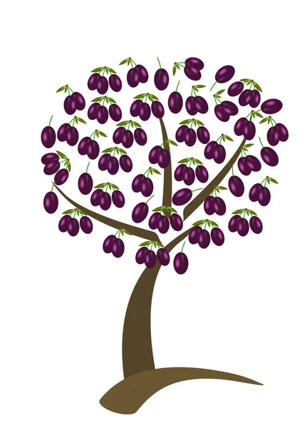 Plum tree — Stock Photo, Image