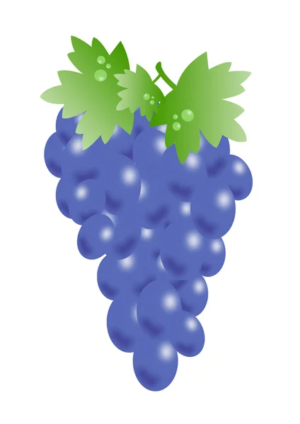 stock image Grapes