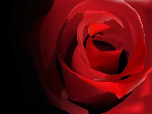 Rose rouge sur noir — Image vectorielle