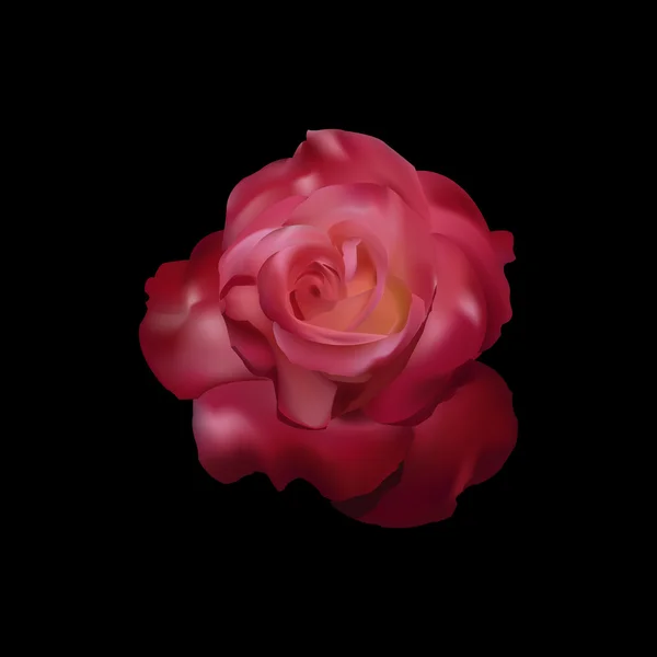 Vecteur rose rouge — Image vectorielle