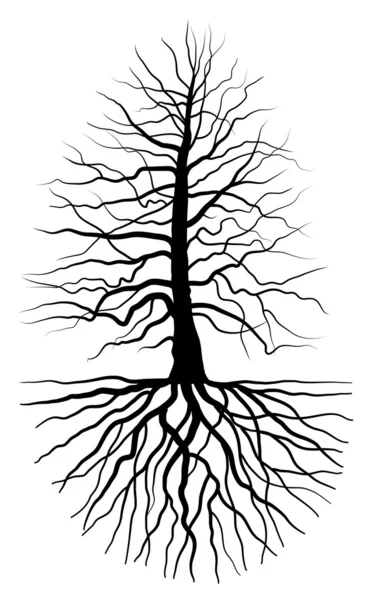 A árvore e a raiz —  Vetores de Stock