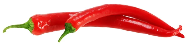 Červená chilli paprika. — Stock fotografie