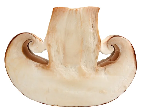 Sliced Portabello Mushroom. — Stock Photo, Image