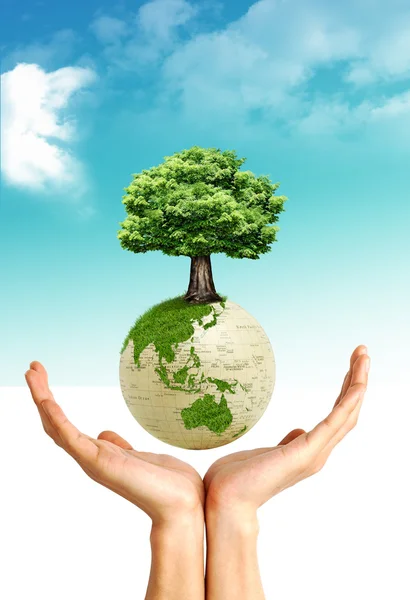 Earth and tree — Stock Photo, Image