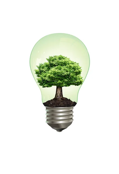 Lamp in tree — Stock Photo, Image