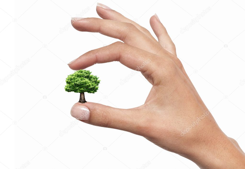 Hands and tree