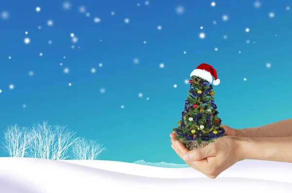 Albero di Natale in mano — Foto Stock