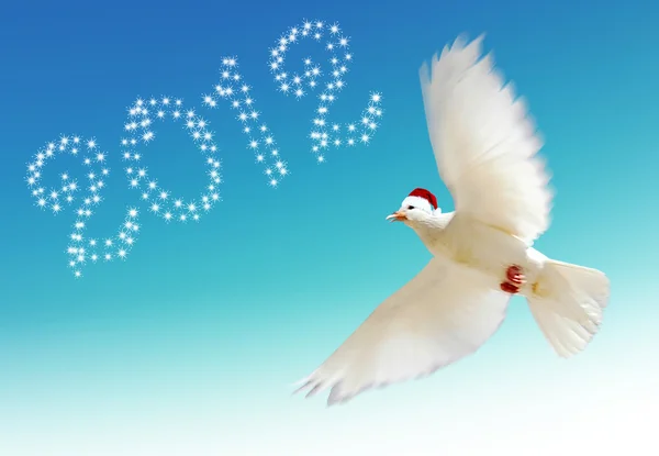 Merry Christmas and dove — Stock Photo, Image