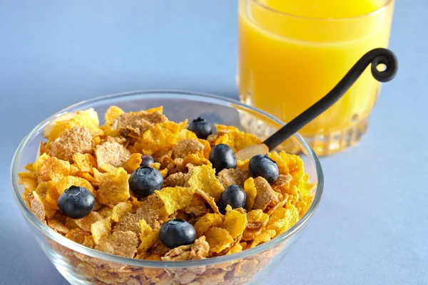 Multi grain cereal with blueberry — Stock Photo, Image